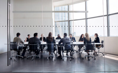 შპს-ის პარტნიორთა კონფლიქტი: ინტერესთა დაცვის მექანიზმების მოკლე მიმოხილვა