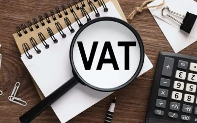 VAT Taxation of Self-Constructed Buildings in Georgia: Public Decision N194